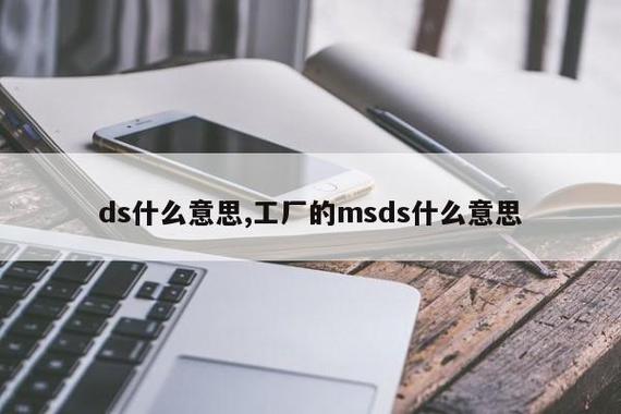 ds是计算机网络术语,分发系统.