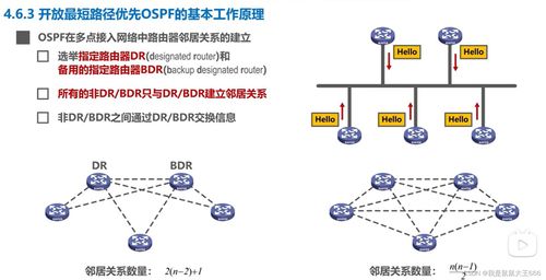 计算机网络 网络层